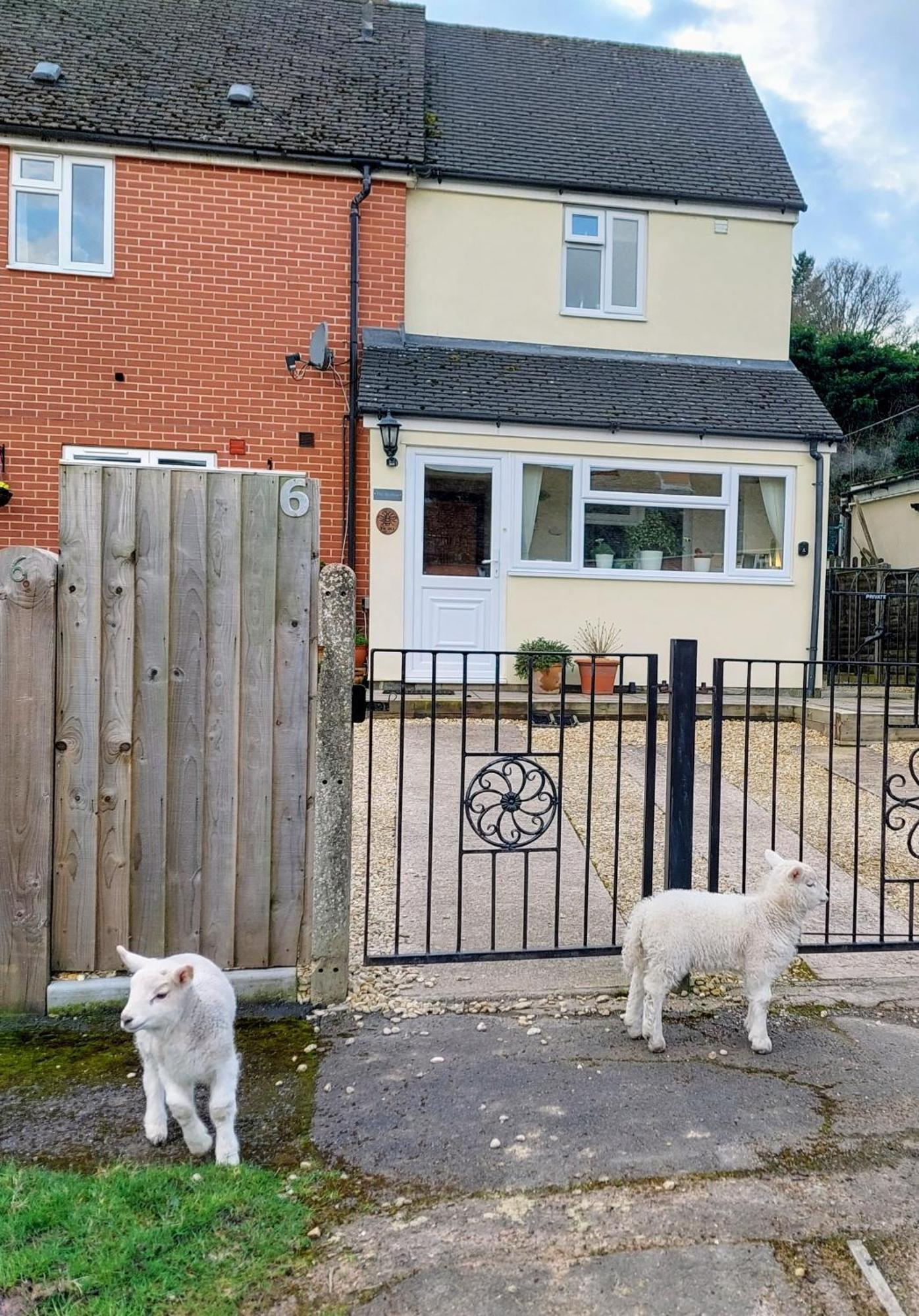 The Beehive - Self Catering In The Heart Of The Forest Of Dean Whitecroft Exterior foto